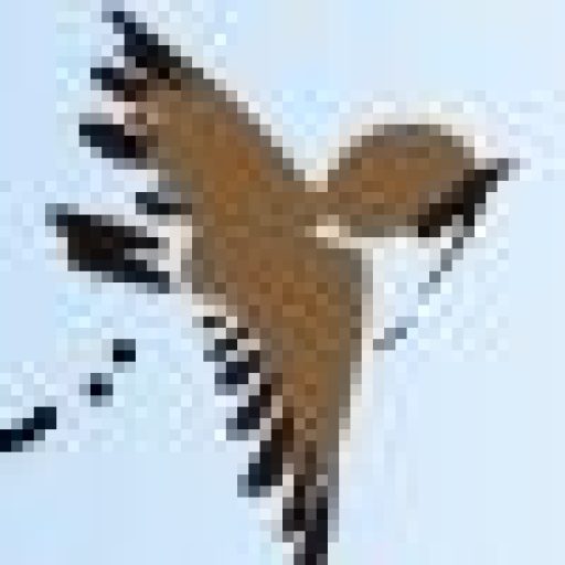 Vogelhutwettensbroek | Vogelkijkhut